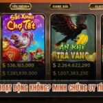 Có Giấy Phép Hoạt Động Không